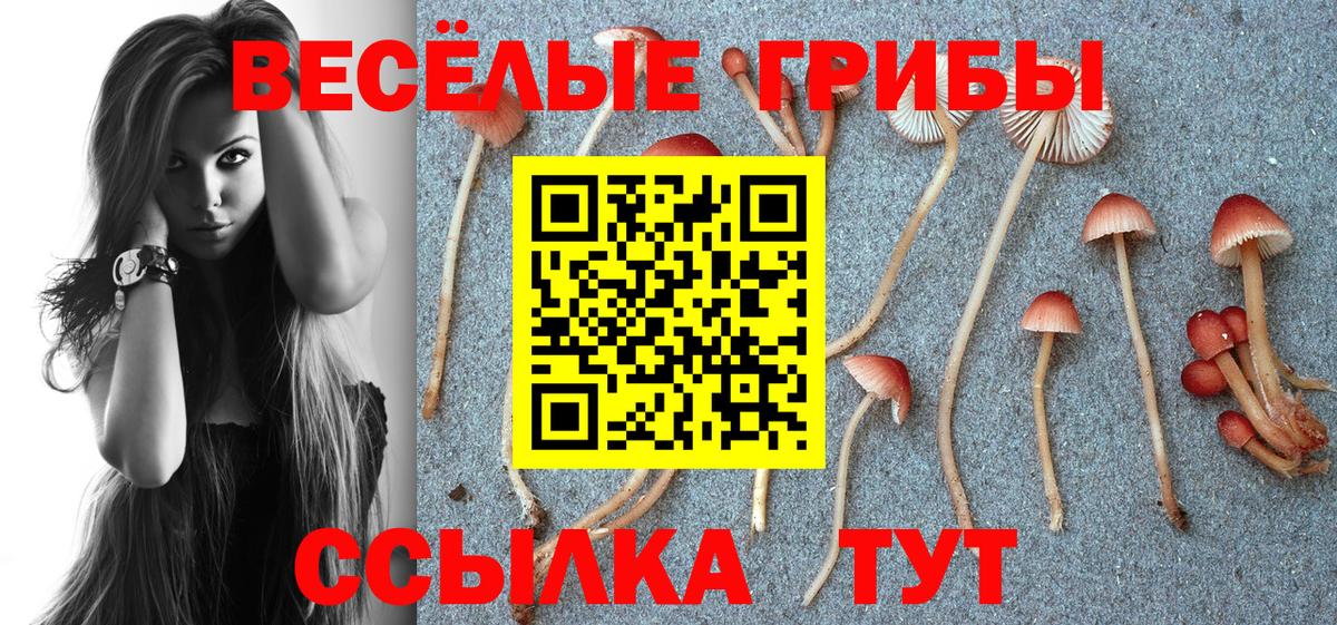 Галлюциногенные грибы ЛСД  Галлюциногенные грибы ЛСД  Вход с VPN  Юрга 