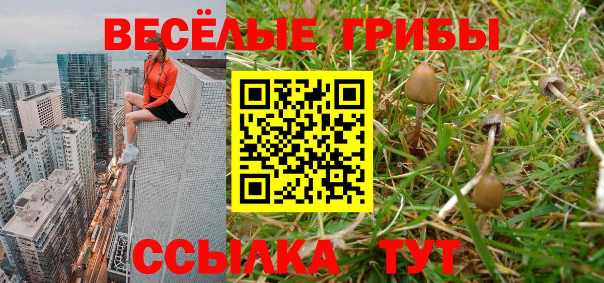 Псилоцибиновые грибы GOLDEN TEACHER Юрга